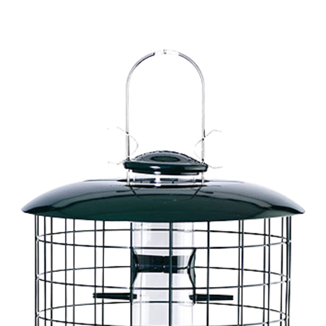 Caged Seed Tube Bird Feeder
