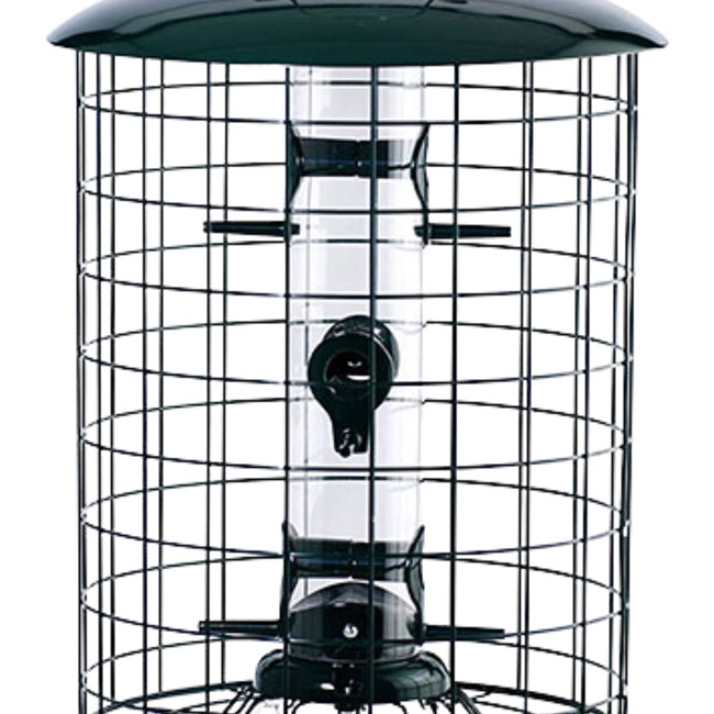 Caged Seed Tube Bird Feeder