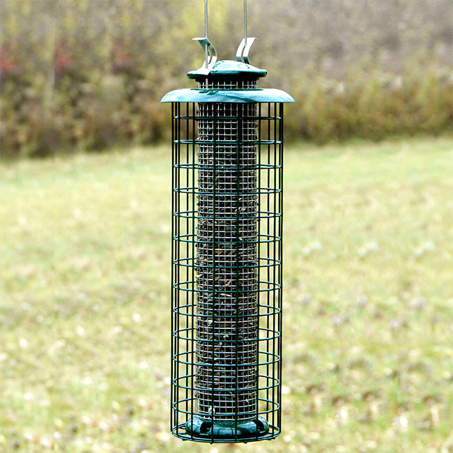Caged Screen Tube Bird Feeder