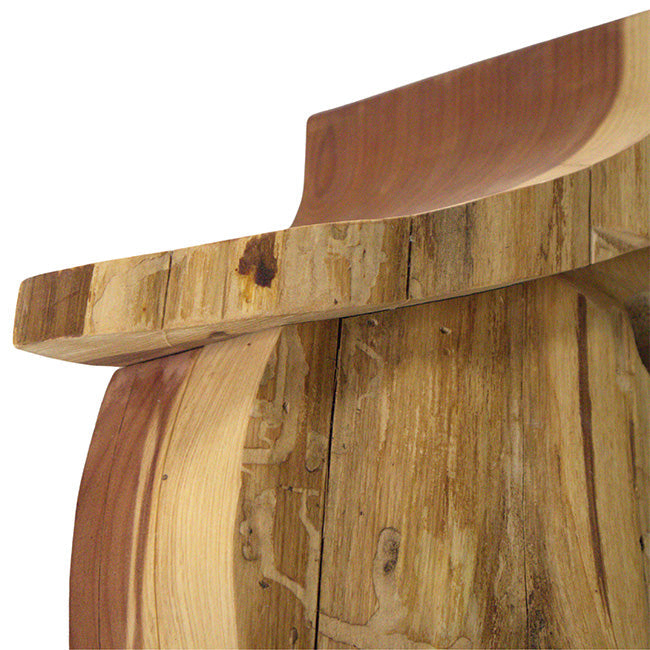 Rustic Handmade Bird House with Finish