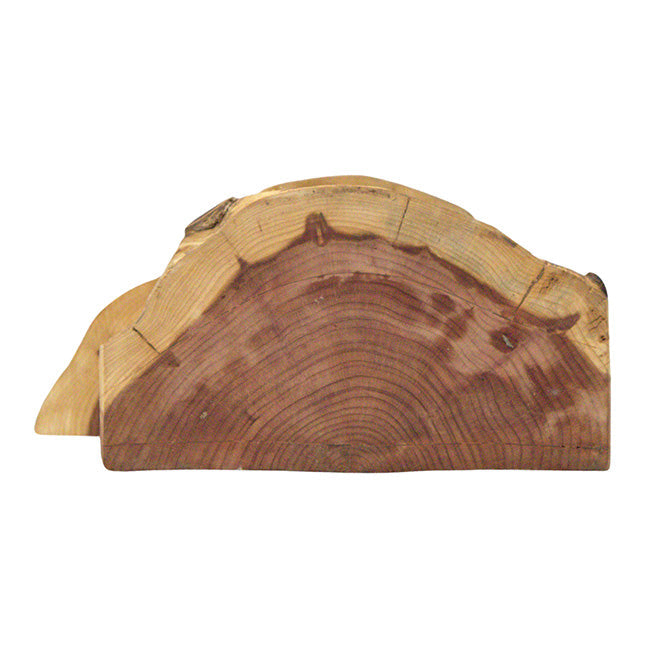 Rustic Handmade Bird House with Finish