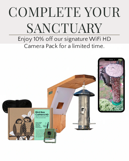 Bird watching equipment with a bird feeder, camera, and smartphone app on a white background.