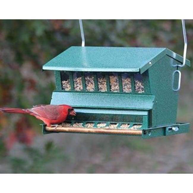 Absolute Bird Feeder with Pole and Hanger - BIRDLOVER