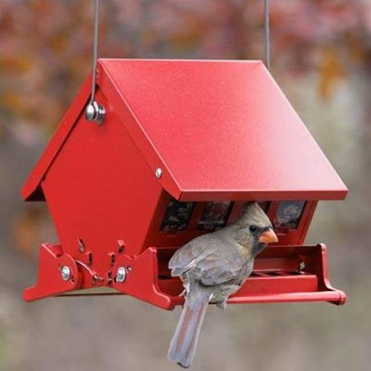 Absolute II Mini Bird Feeder - BIRDLOVER