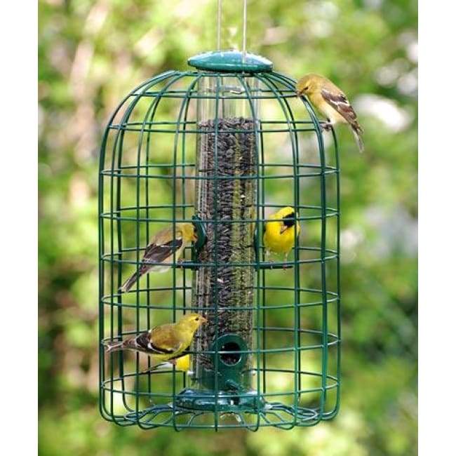 Audubon Squirrel-Resistant Caged Tube Bird Feeder