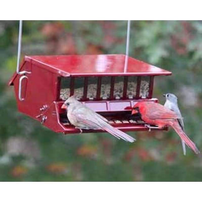 Bird's Choice Squirrel Proof Bird Feeder, Red - BIRDLOVER