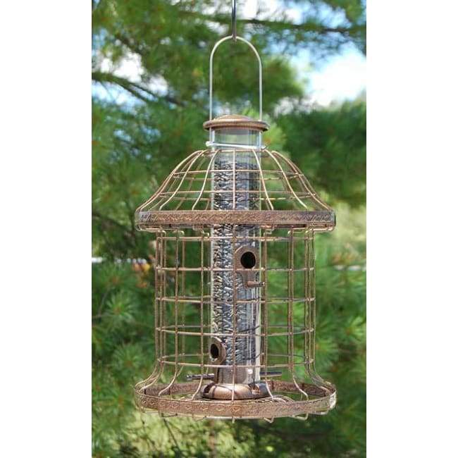 Caged Wild Bird Feeder