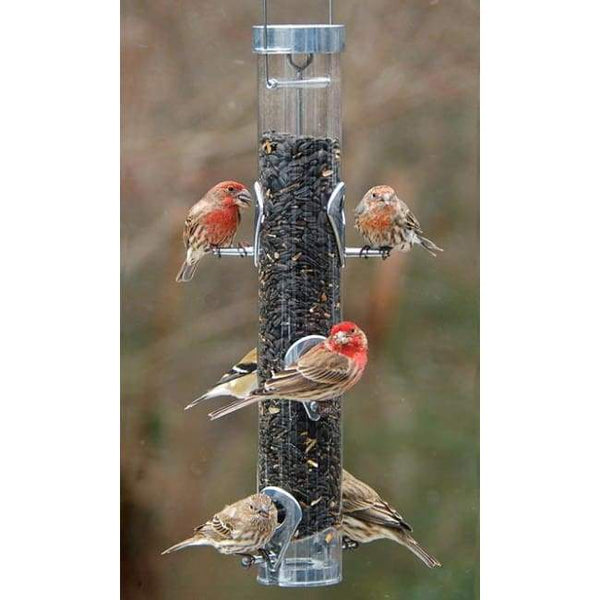 Droll Yankees A-6RP Ring Pull Bird Feeder - BIRDLOVER