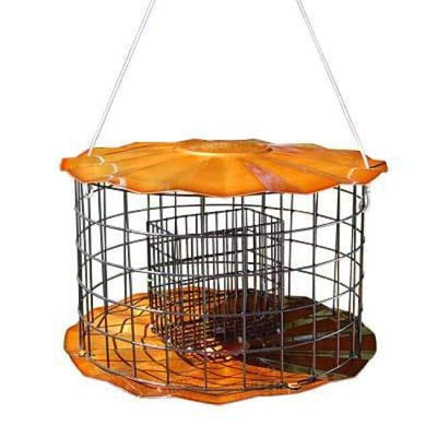 Caged Double Suet Feeder, Copper Colored - BIRDLOVER