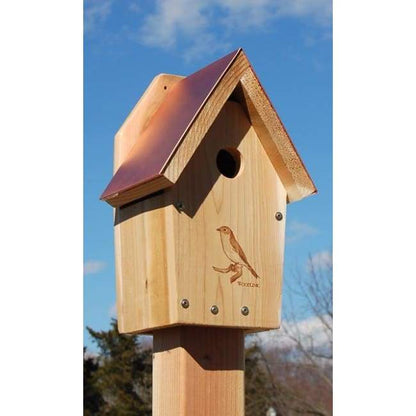 Coppertop Bluebird House