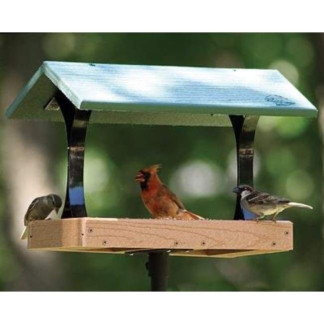 Going Green Fly Through Bird Feeder