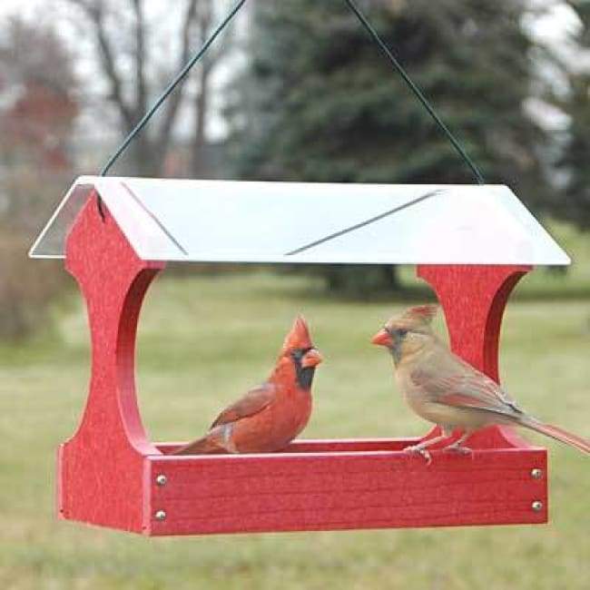 Going Green Fly Through Bird Feeder, Red