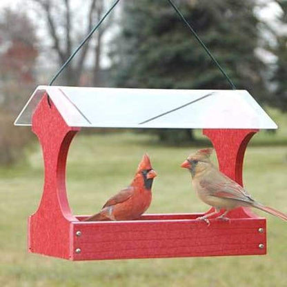 Going Green Fly Through Bird Feeder, Red