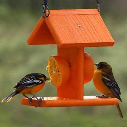 Going Green Recycled Plastic Oriole Fruit Feeder