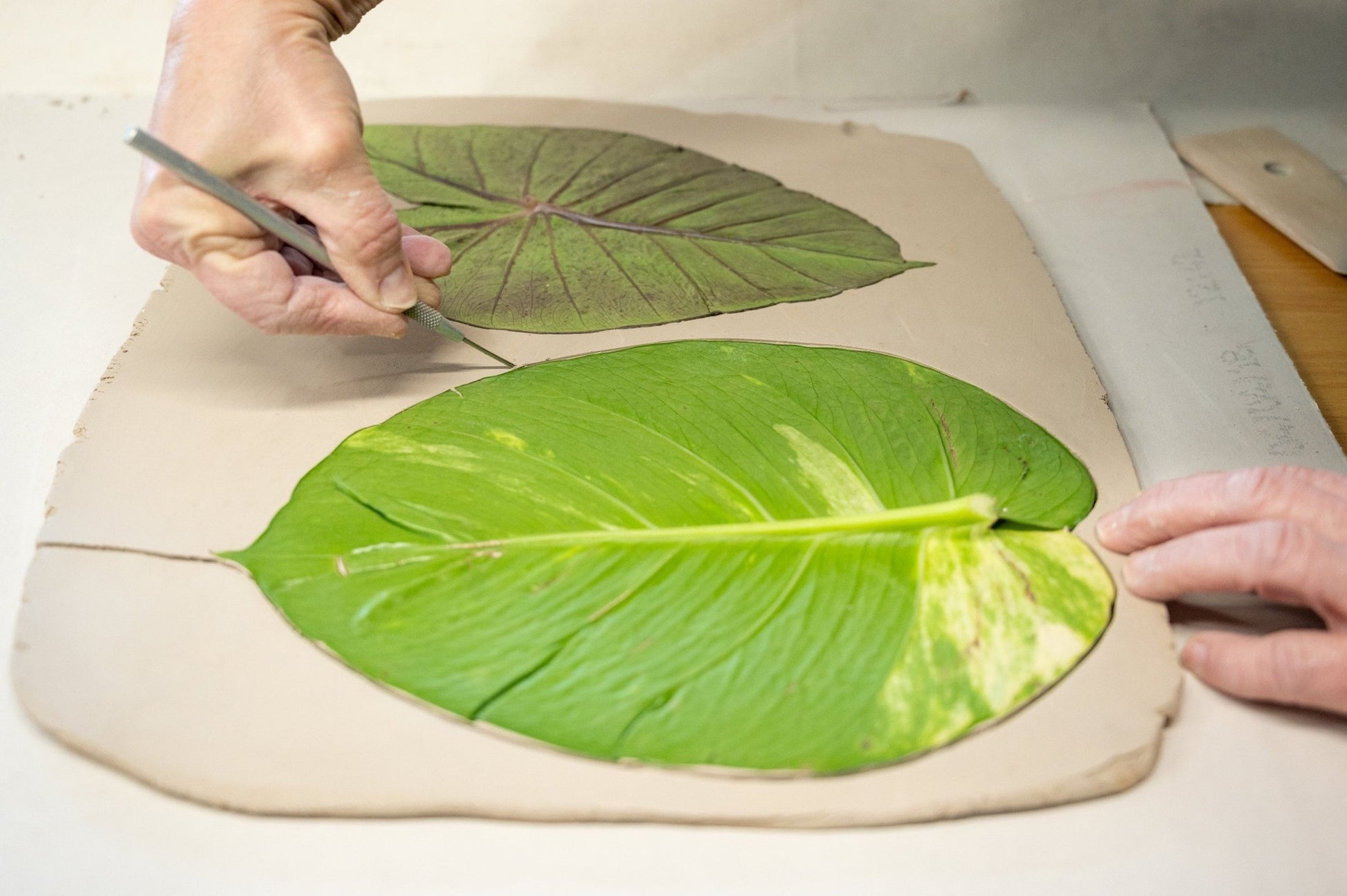 Handmade Bird Bath — Hanging Pottery Leaf Design - BIRDLOVER