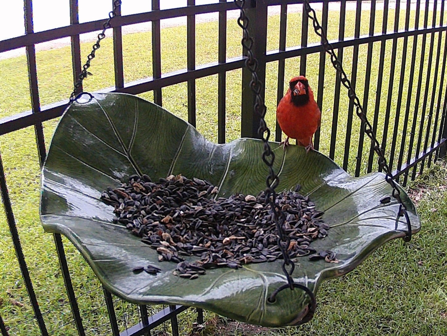 Handmade Bird Bath — Hanging Pottery Leaf Design - BIRDLOVER