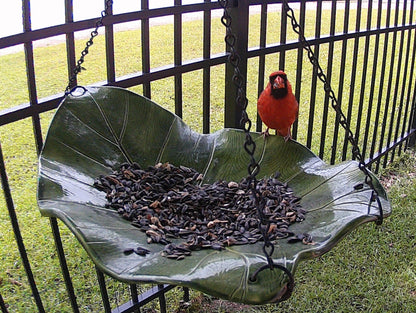 Handmade Bird Bath — Hanging Pottery Leaf Design - BIRDLOVER
