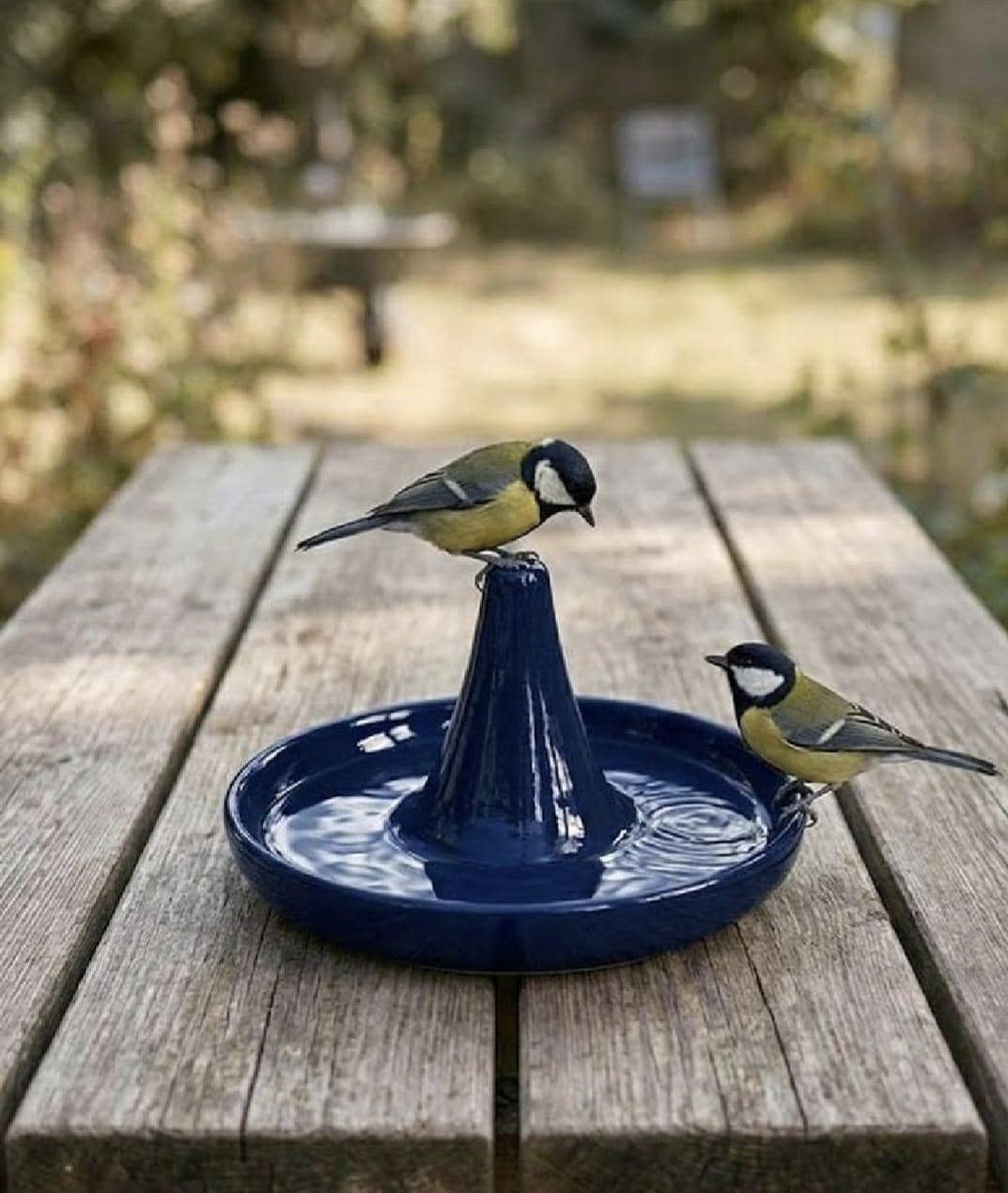 Handmade Ceramic Bird Feeder Set — Water & Food Station - BIRDLOVER