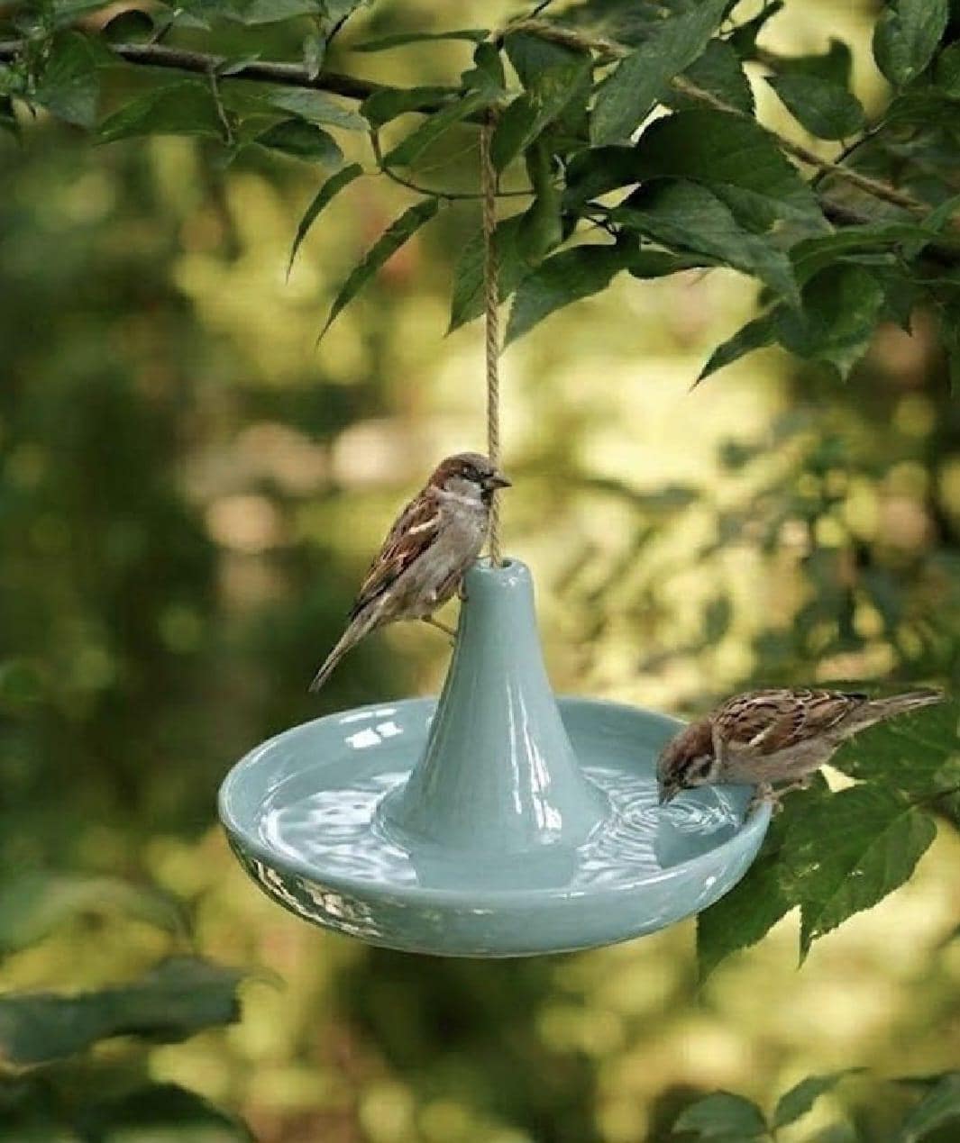 Handmade Ceramic Bird Feeder Set — Water & Food Station - BIRDLOVER