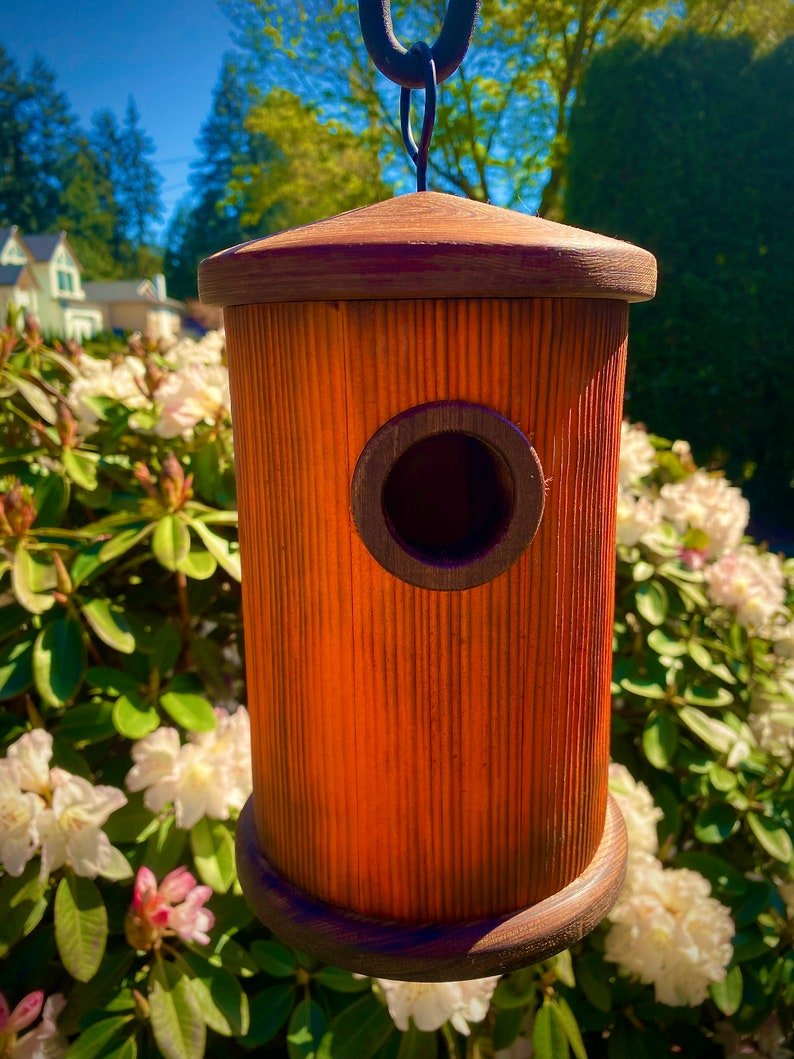 Handmade Colorful Birdhouse — Shou Sugi Ban Knotty Pine, Cedar Roof - BIRDLOVER