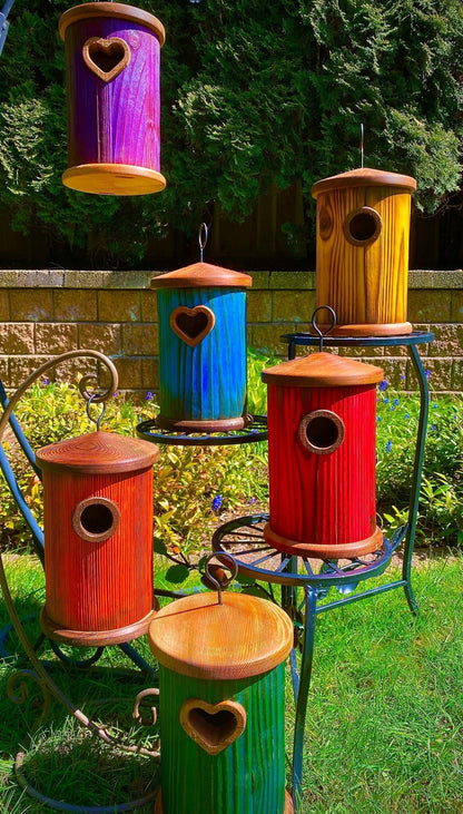 Handmade Colorful Birdhouse — Shou Sugi Ban Knotty Pine, Cedar Roof - BIRDLOVER