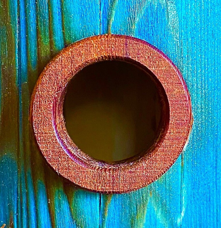 Handmade Colorful Birdhouse — Shou Sugi Ban Knotty Pine, Cedar Roof - BIRDLOVER