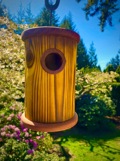 Handmade Colorful Birdhouse — Shou Sugi Ban Knotty Pine, Cedar Roof - BIRDLOVER