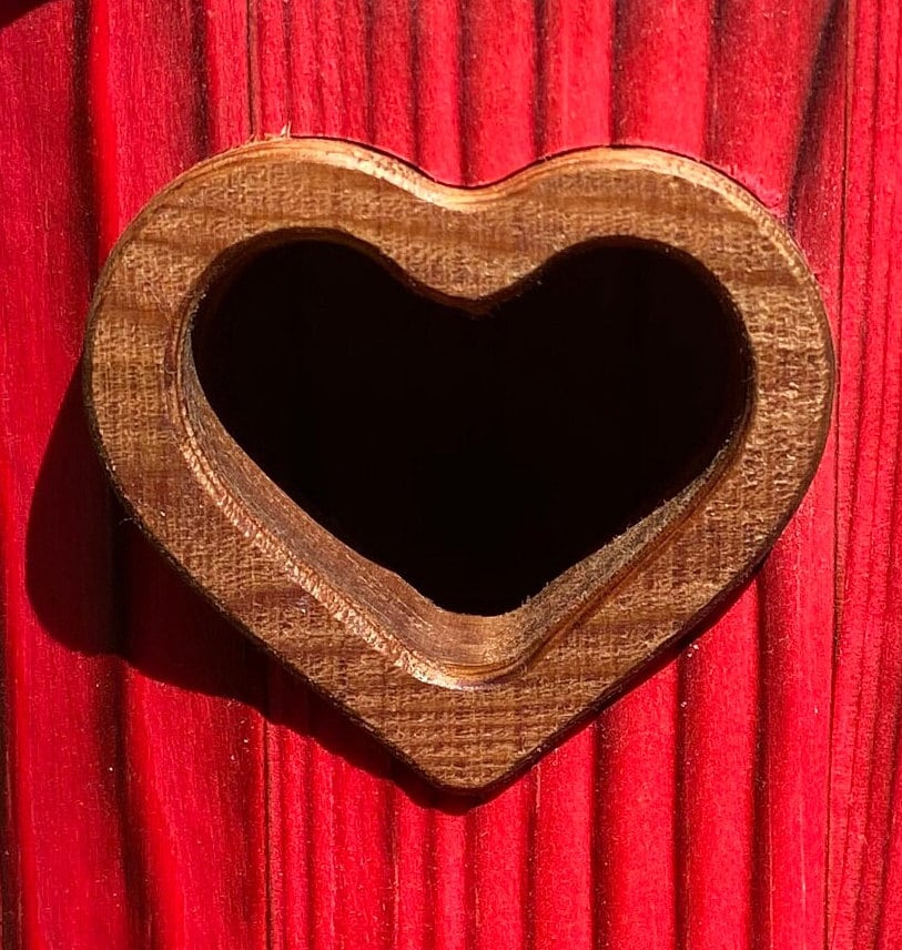 Handmade Colorful Birdhouse — Shou Sugi Ban Knotty Pine, Cedar Roof - BIRDLOVER