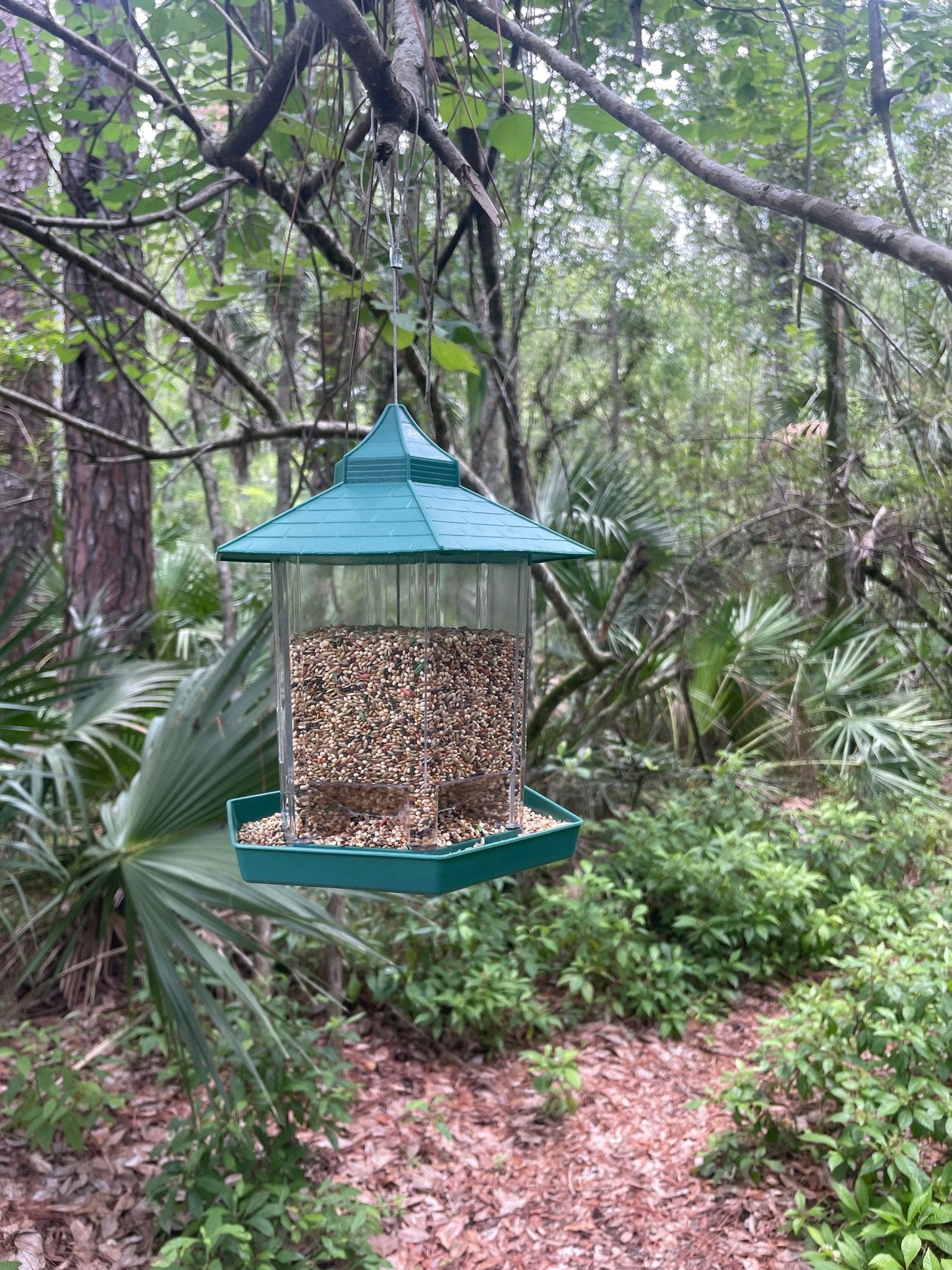 Hanging Bird Feeder: Squirrel Proof, Weather - Resistant, 3.2 LBS Capacity - BIRDLOVER