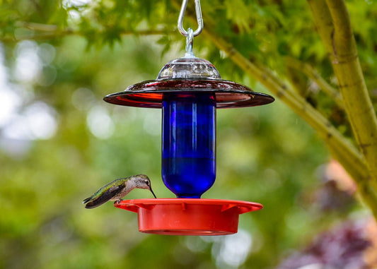 Hummingbird Feeder Bee Proof with choice of 8 oz Clear or Cobalt Bottle with Red Glass Plate - BIRDLOVER