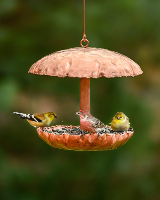 Pure Copper Bird Feeder - BIRDLOVER