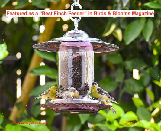 Amethyst Glass Finch Feeder — Mason Jar Bird Feeder - BIRDLOVER