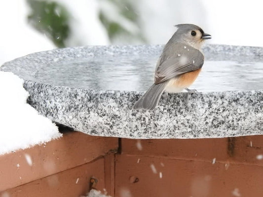 Handmade granite bird bath basin, salt and pepper gray stone