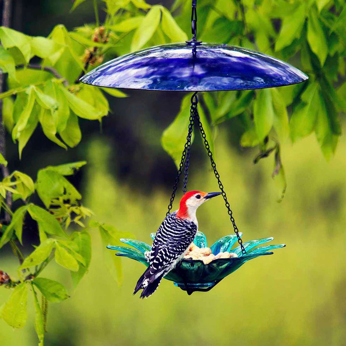 Petite Glass Baffle Dome for Bird Feeders — Garden Decor Glass Dome - BIRDLOVER