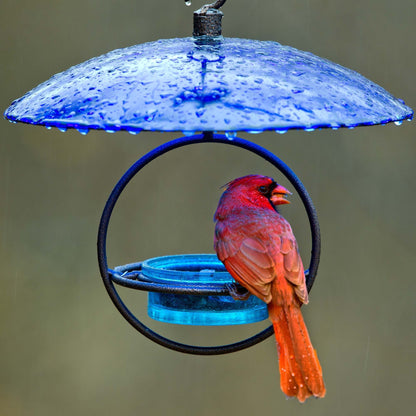 Petite Glass Baffle Dome for Bird Feeders — Garden Decor Glass Dome - BIRDLOVER