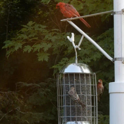 Original Squirrel Proof Stainless Steel Bird Feeder - BIRDLOVER