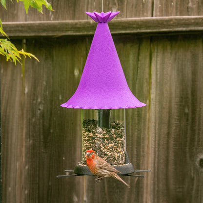 Squirrel Resistant Bird Feeder - BIRDLOVER