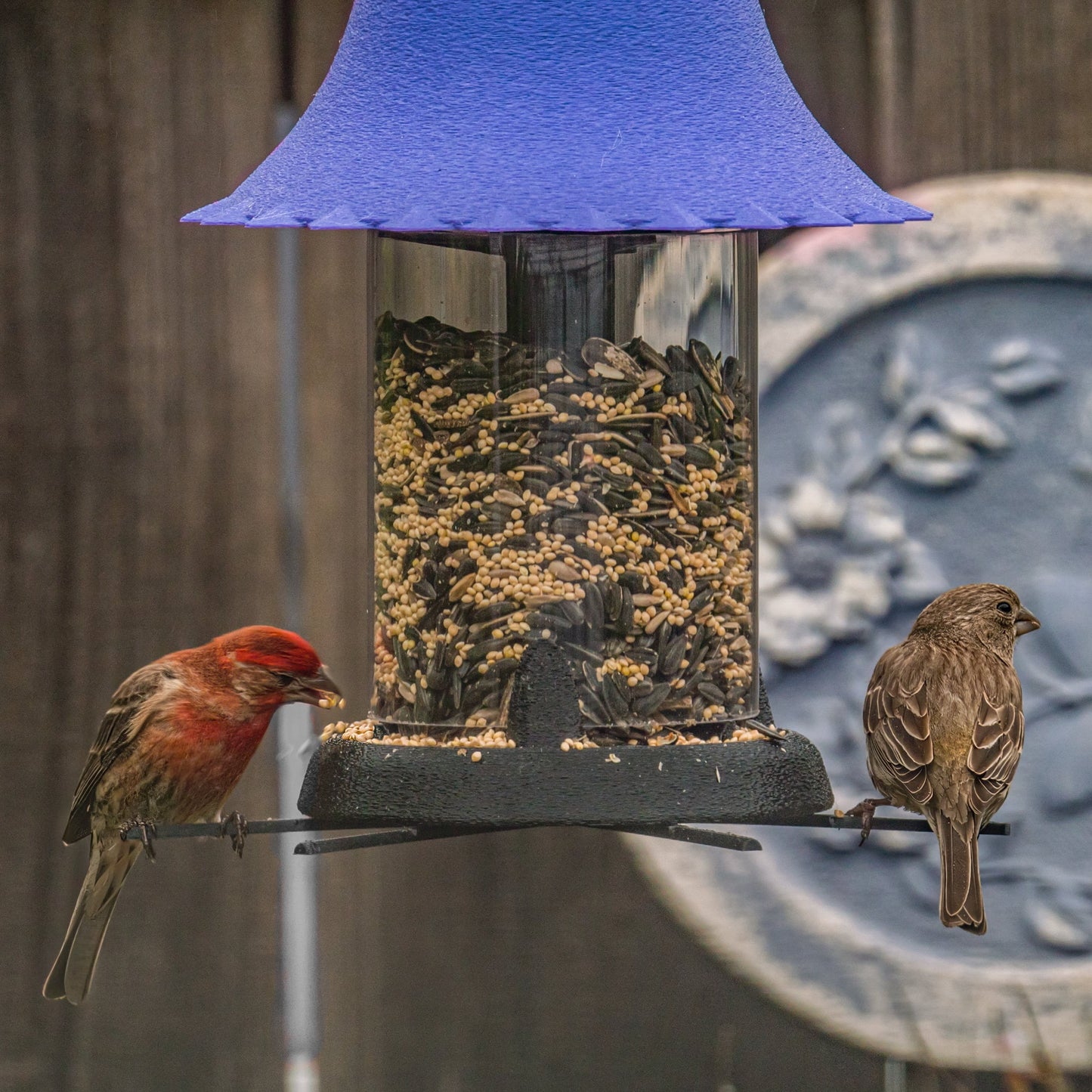 Squirrel Resistant Bird Feeder - BIRDLOVER