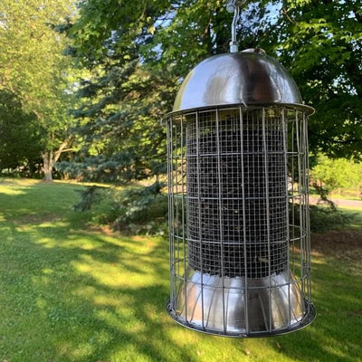 Original Squirrel Proof Stainless Steel Bird Feeder