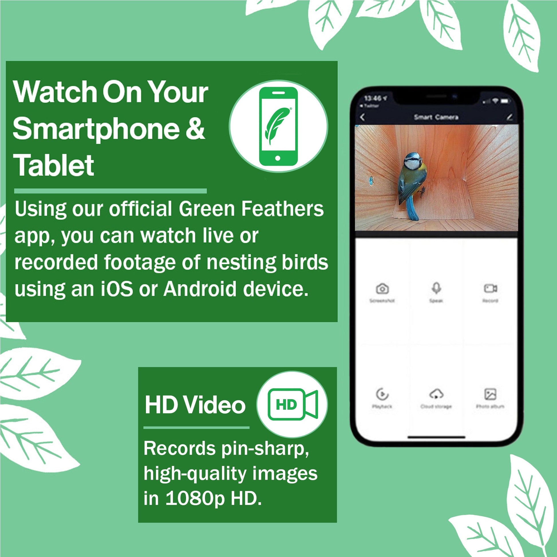 Advertisement for a birdwatching app on a smartphone with green leaves on a green background