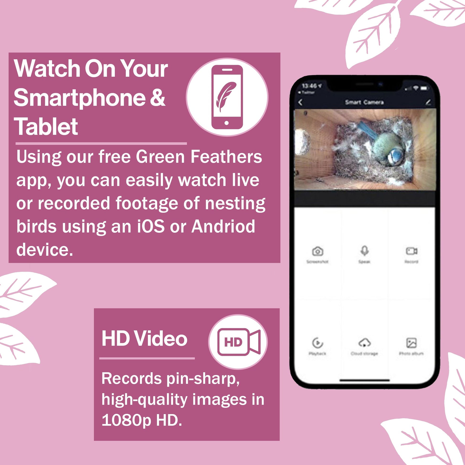 Smartphone app interface for birdwatching with a pink background and leaf graphics.
