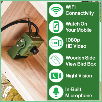 Green bird box camera on a wooden surface with feature list on the right.