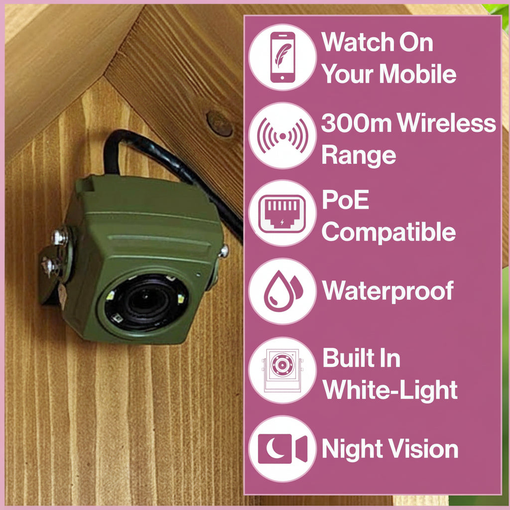 Green security camera on a wooden surface with feature icons and text on a pink background