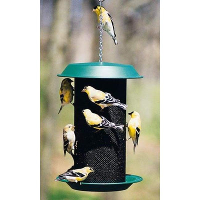 Magnum Thistle Seed Bird Feeder - BIRDLOVER
