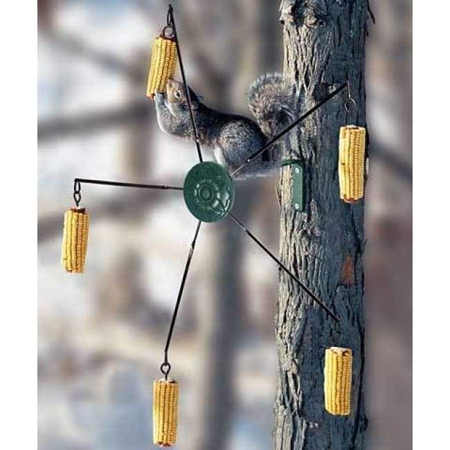Medallion Squirrel-Go-Round Feeder