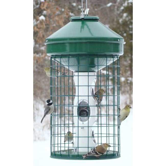 Caged Avian Mixed Seed Bird Feeder