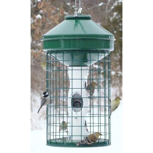 Caged Avian Mixed Seed Bird Feeder - BIRDLOVER
