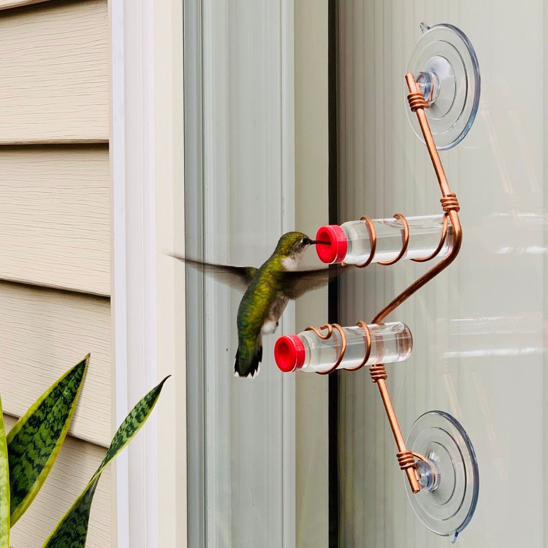 New Geo 2.0 - BIRDLOVER