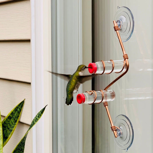 New Geo 2.0 - BIRDLOVER