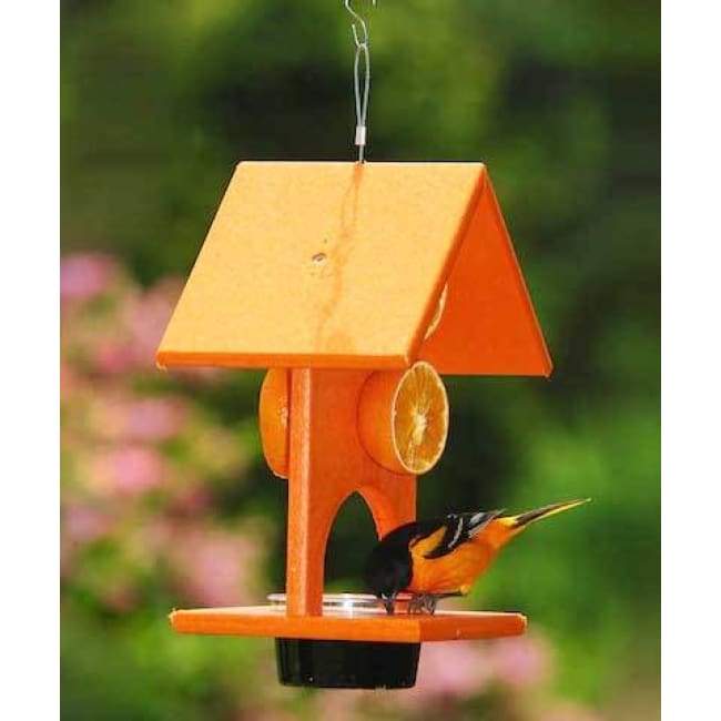 Recycled Plastic Fruit and Jelly Bird Feeder